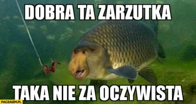 Zajakiegrzechy - @veranoo No, tak było