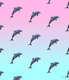 V.....E - #delfin