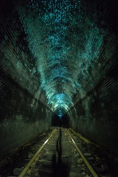 wietnam67 - @niebieski_pasek: Glow Worm tunnel w Blue Mountains, wybieram się tam za ...