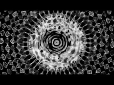 antarct - My only wish
To animate experience

#youtube #glitchmob