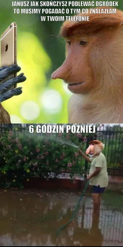 ozzybiceps - he
#nosaczsundajski #heheszki #humorobrazkowy