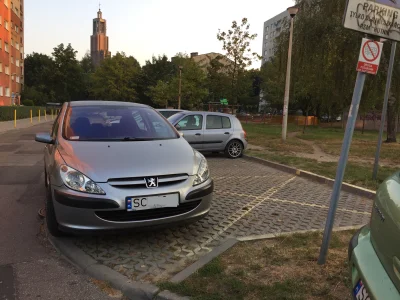 FranzM - @mastapepe: to jak wytłumaczyć "peżo" ;) ?
Prostopadłe parkingi względem dr...