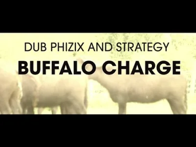 toldii - Dub Phizix and Strategy - Buffalo Charge

#muzyka #muzykaelektroniczna #el...