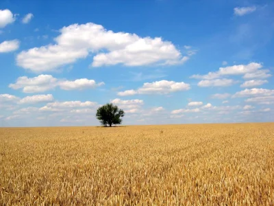 ilemogejeszczezniesc - Nie ma jak to w letniej porze można wysrać się na dworze, letn...