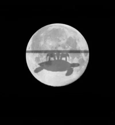 paliakk - Rozkład jazdy podczas zaćmienia Księżyca 21 stycznia.

Początek zaćmienia...