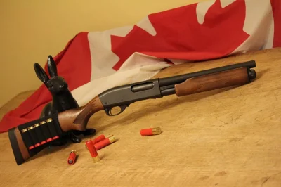 Rogue - #gunboners #bron #projektdedal

Strzelba Remington 870 w wersji skróconej (ob...