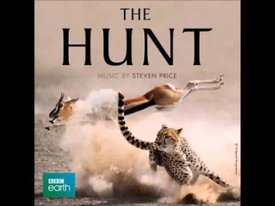 stepBYstep - BBC The Hunt - Jezusie, jaki to jest dobry serial. Jezusie, jaki to jest...