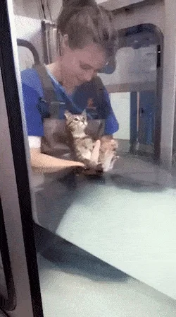 widaczew - Kocia hydroterapia. (づ•ᴥ•)づ 
#smiesznekotki