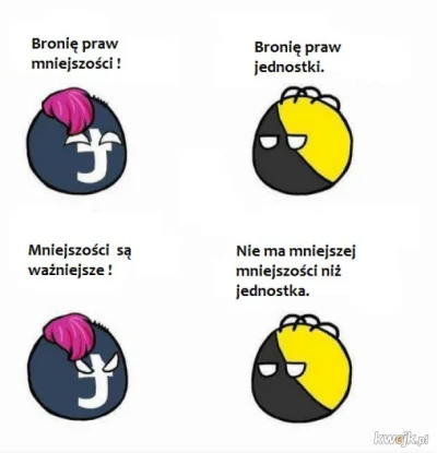 majsterV2 - Dlatego głosuję na Korwina bo do bandytów sie strzela nim oni nas zabiją!...