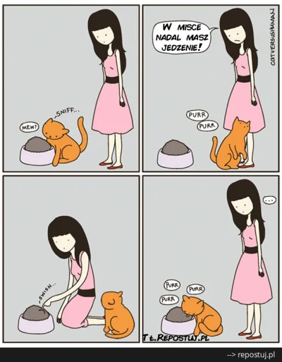Kaplanka - Za każdym razem. Wypisz, wymaluj #kotprzemek (ʘ‿ʘ)
#heheszki #koty