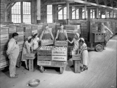 N.....h - Magazyn w Schuckl Cannery. Sunnyvale, Kalifornia.
#fotohistoria #1931