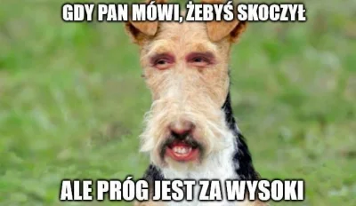 Chicoxxx66 - #heheszki #humorobrazkowy #humor #januszkorwinmikke #korwin #polska