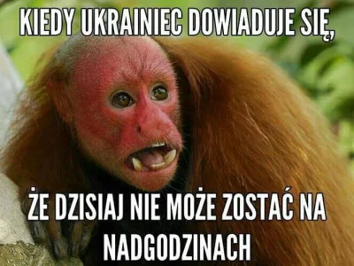 maxPL - #zawszesmieszy #polak #ukrainiec #heheszki #humorobrazkowy