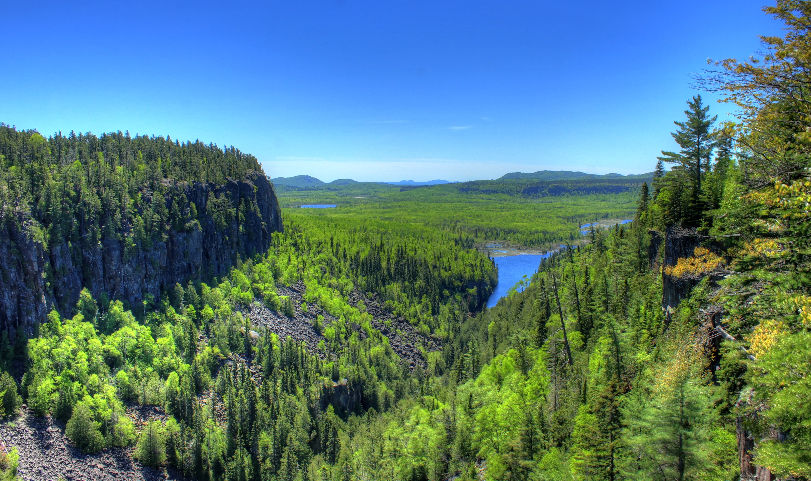 Природные ресурсы лесных зон россии. Бореальные леса Северной Америки. Canada Лесные ресурсы. Лесные ресурсы Северной Америки. Бореальский лес Канада.