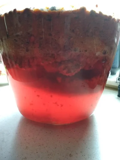 RozkalibrowanaTurbopompa - Głóg z dziką różą nastawiony, ruszyła fermentacja mocno, w...
