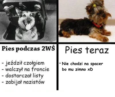 krabar - > pies nie chce chodzić na spacery bo mu zimno

@migdalll: loool xD