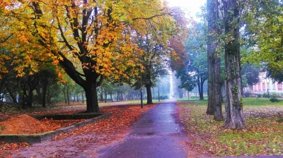 Davved - Kilka dni temu zaskoczył mnie rano taki ładny widok. Niby szaro, zimno, ale ...