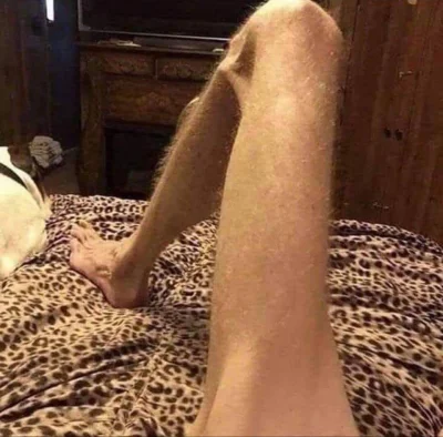 TomaszHajto111 - Oto efekty mojej 7 letniej pracy.Nogi to mój priorytet.Uważacie,że d...