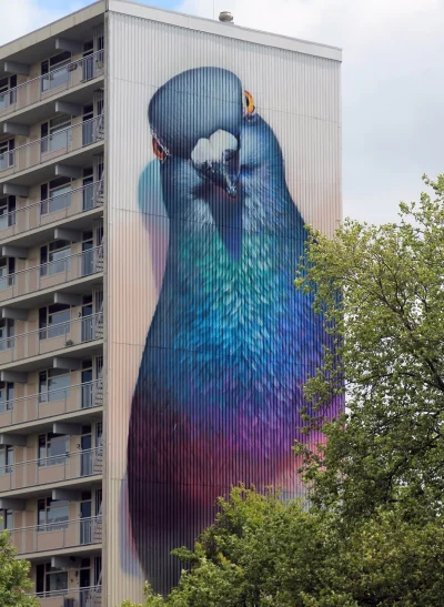 chodzmyzbuta - Super Gołomb

#golomp #streetart #mural
