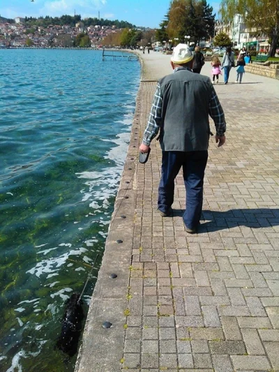 anonim1133 - A czy wy zabieracie swoje psy na pływanie? xD

#bekamocno
