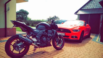 kupricz11 - #motocykle #motocykleboners #chwalesie ale tylko moto bo Mustang nie mój ...