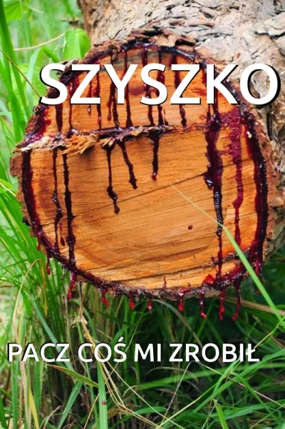 zwirz - #szyszkodnik