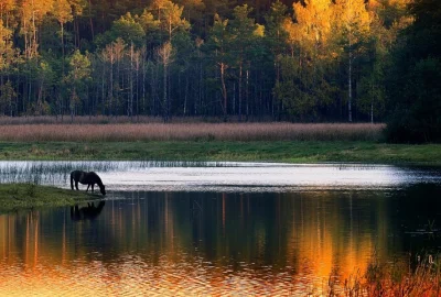 kochman86 - Stawy Echo Roztocze, foto: Mirosław Teterycz
http://eloblog.pl/10-basnio...