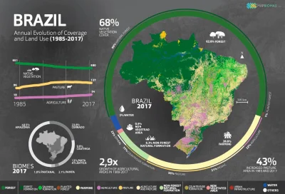 Lifelike - #brazylia #gospodarka #przyroda #las #infografika #graphsandmaps