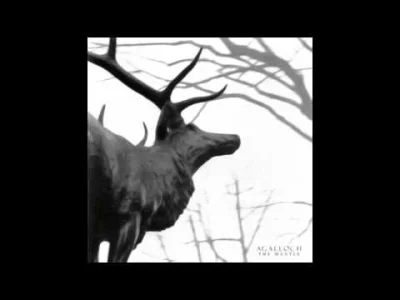 L.....a - #agalloch #postrock #blackmetal 
Polecam cały album
@Lifewillkill_ya