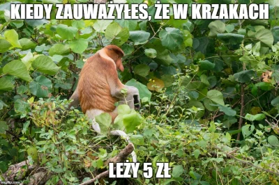 grzech_u - @zbigniew-wu: