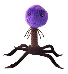 Farrahan - @SScherzo: Nie wiem o co chodzi, więc wrzucam pluszowego bakteriofaga T4