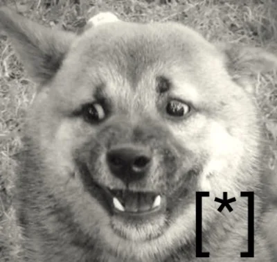 S.....a - NADRILL NA ZAWSZE W MOIM SERDUSZKU. 
THANKS DOGE, THANKS NADRILLE. RIP IN P...