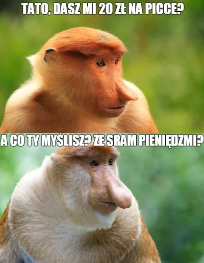 maxx92 - #polak #heheszki #nosacz #polakicebulaki #humorobrazkowy