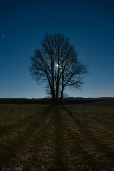 Nightscapes_pl - W świetle Księżyca wszystko wygląda inaczej. 

#fotografia #astrof...