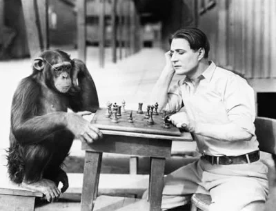 stanislaw-cybruch - #stan #nauka #przyroda #szympans Szympansy rozumieją znaczenie go...