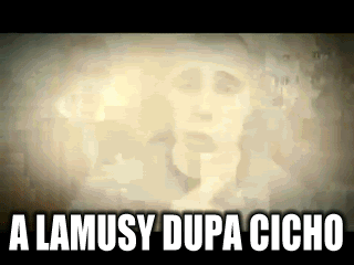 mistrz_tekkena - @arcn: ale lamusy dupa cicho