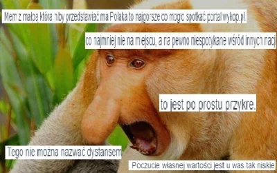 Syfjakna_wykopie - #polak #heheszki #testoviron #shitwykopsays