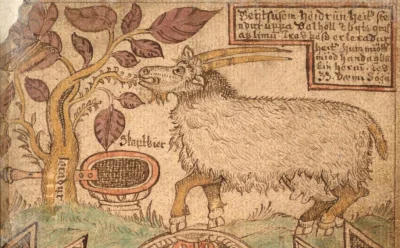 Fevx - Dawni Skandynawowie też lubili kozy :) (bez skojarzeń, chociaż...). Jedna z ni...