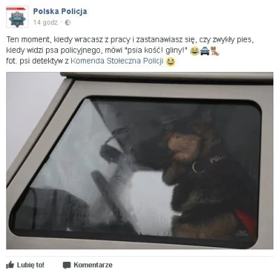 Zdejm_Kapelusz - Ta nasza policja też potrafi czasem śmieszkować ( ͡° ͜ʖ ͡°)

#humo...