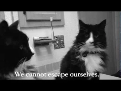 Dynamiczny_Edek - #przemyslenia #filmik #kot #henri 



Głębokie przemyślenia pewnego...