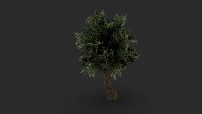 Leinnan - Takie tam drzewko

#leinnanblends #grafika3d #grafikakomputerowa #blender #...
