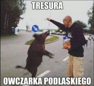 Jendrazzz - Pewnie było ale mnie za każdym razem bawi #podlasie #heheszki