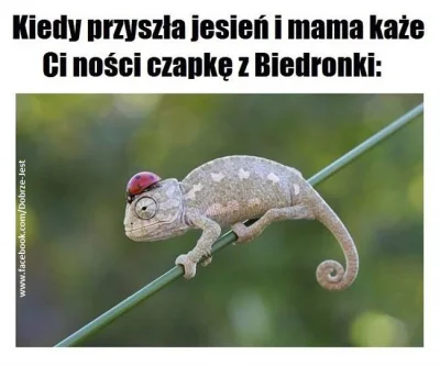 H.....D - Tak głupie że kekłem #humorobrazkowy #suchar