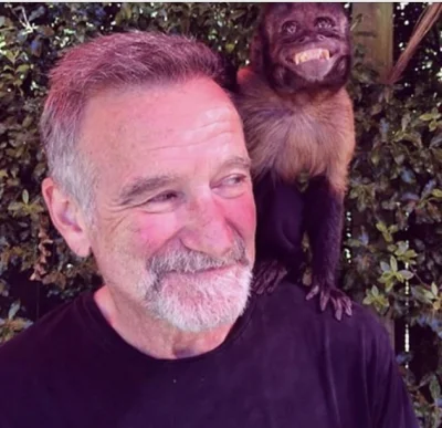 orbitowski - To zdjęcie Robin Williams’a i małpki „Crystal”, zostało upublicznione na...