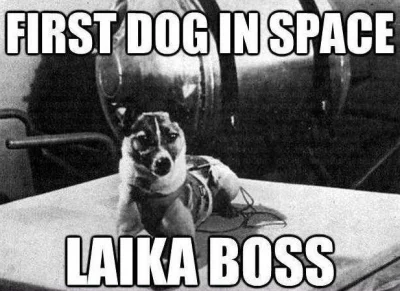 nobody_here - #laika #boss