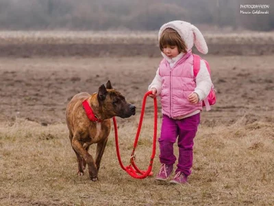 matra - Od dłuższego czasu, co mnie bardzo cieszy, obserwuję wzrost dbałości o jakość...