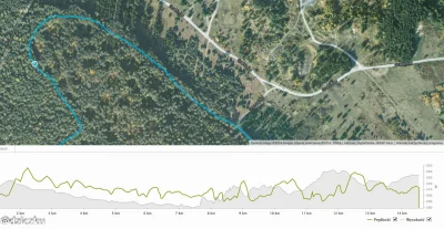 dziczku - #kielce #rower #mtb

Nie wiem kto to zrobił, bo nie wygląda na robotę leśni...