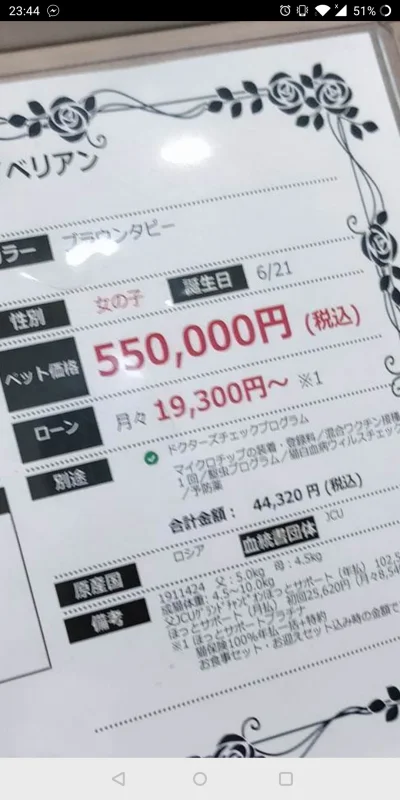 masiej - Które to jest cena? #jezykiobce #japonski #japonia