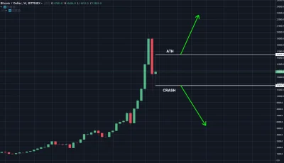 S.....e - #bitcoin

Przed nami decydujący tydzień. jak stawiają mirki ?