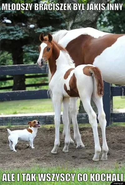 Ben_one - #memy #humorobrazkowy #heheszki #smieszne